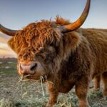 West Coast Lochs & Castles Tour - from Glasgow - Panoramic Views from Rest and Be Thankful