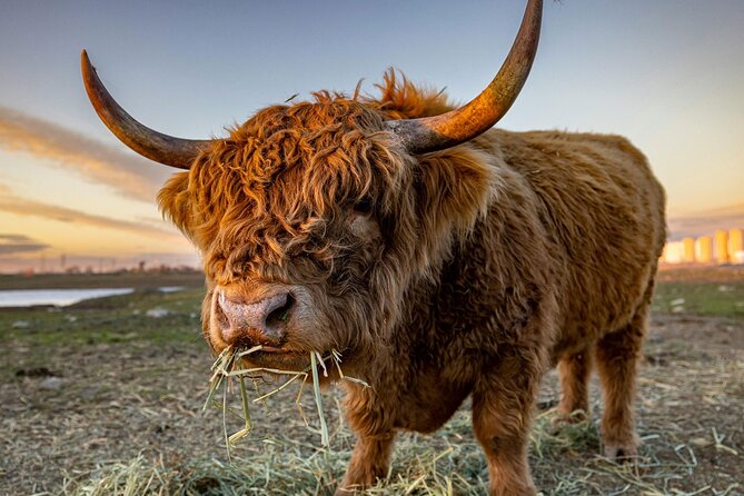 West Coast Lochs & Castles Tour - from Glasgow - Panoramic Views from Rest and Be Thankful