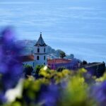 West is the Best - Picking Up in Funchal at 9:00am