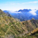 West Madeira Island Guided Tour & Fanal Mystic Forest - Authentic Coastal Charm in Camara de Lobos