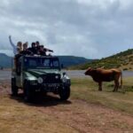 West Safari - The natural pool Porto Moniz Open Roof Jeeps - Starting Point and Duration