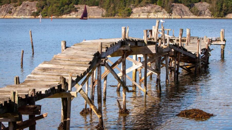 West Sweden: Today's Catch Sea Kayak Tour - The Art of Choosing the Day’s Catch