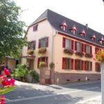 Wettolsheim: Organic Wine Tasting and Cellar Visit - Meet the Domaine AiméStentz Family and Their Organic Philosophy