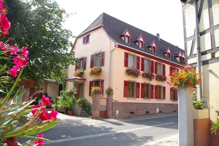 Wettolsheim: Organic Wine Tasting and Cellar Visit - Meet the Domaine AiméStentz Family and Their Organic Philosophy