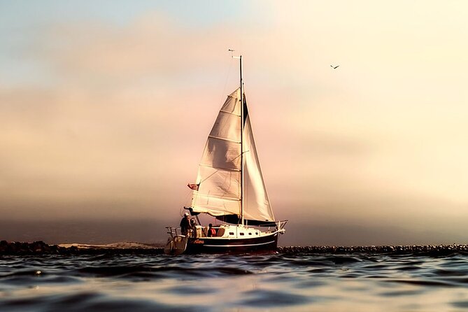 Whale & Dolphin Watching Boat Trip in Tenerife On a Sailing Boat (3 Hr) - Starting Point and Departure Schedule in Tenerife