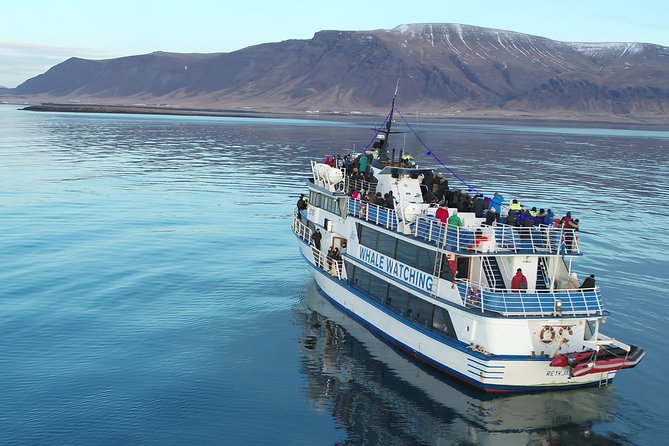 Whale-Watching Boat Tour with Expert Guide from Reykjavik - Wildlife Encounters and Sightings Guarantee