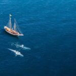 Whale Watching on a Traditional Oak Sailing Ship from Husavik - What to Expect When Whale Watching on a Schooner