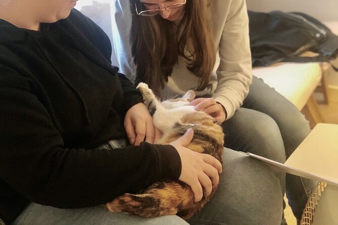 Whiskers & Coffee: Relax and Play with Adorable Cats - Cozy Atmosphere Designed for Cat Lovers and Coffee Fans