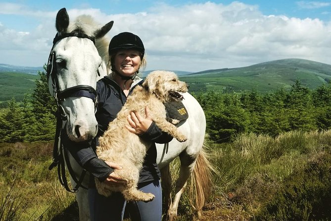 Wicklow Mountains Horse Trekking - The Scenic Route: Over Wicklow Mountains and Along the Kings River Valley