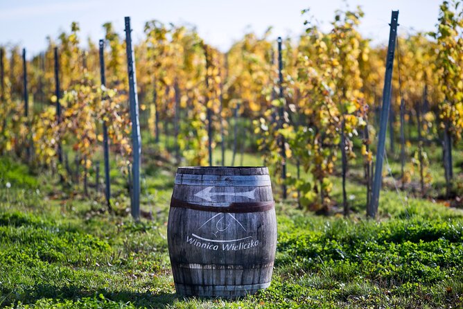 Wieliczka Vineyard: Wine tasting with local snacks - Exploring the Winemaking Philosophy and Techniques
