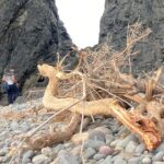 Wild coast nature experience and legends - Pickup and Group Size Make Touring Easy