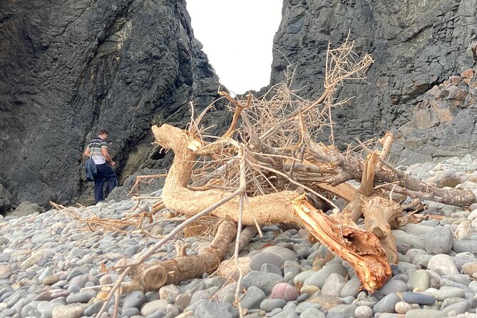 Wild coast nature experience and legends - Pickup and Group Size Make Touring Easy