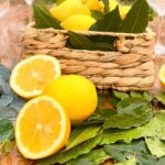 Wild Fruit Picking Experience at Hani i Qerosit - Scenic Trails Through Albanian Hills and Native Woodlands