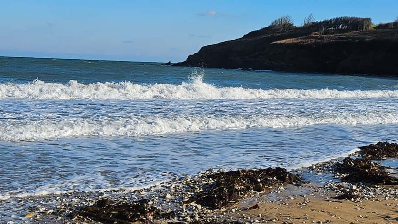 Wild west: Tour Cornwall`s rugged west coast. - Exploring Penzance and Newlyn’s Historic Charm