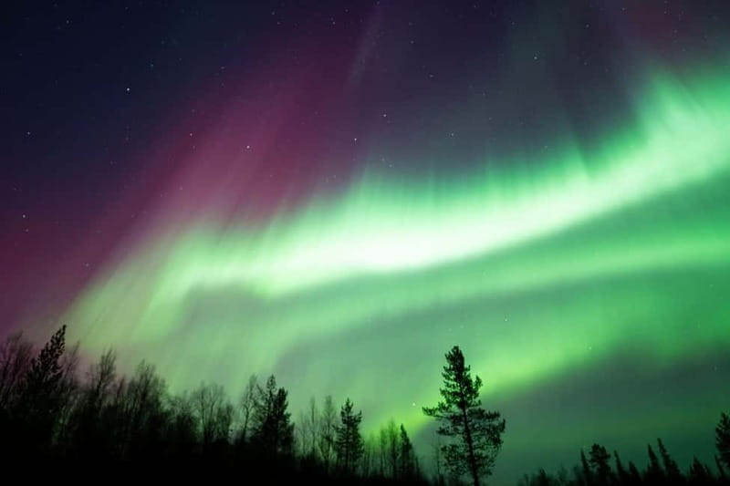 Wilderness Adventure by Snowmobile Sleigh - Meeting Point and Pickup in Ivalo or Inari