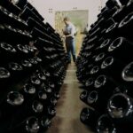 Wine and Balsamic Vinegar Tour with Tasting - Guided Tasting of Local Flavors Paired with Classic Snacks