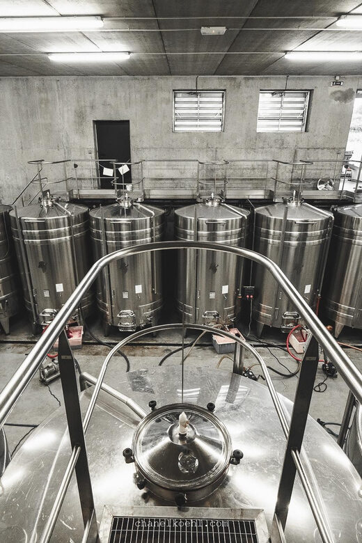 Wine and Cheese experience - Creating Memorable Moments with a Sensory Experience