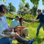 Wine and Cheese Tasting Tour in Cheddar Valley - Starting Point and Journey to Somerset Countryside