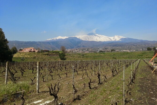 Wine and Lunch Tour - Traditional Sicilian Lunch Featuring Local Products