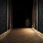 Wine cellar tour with tasting 3 wines of the Loire - Introduction to Château La Viaudière and Its Organic Philosophy