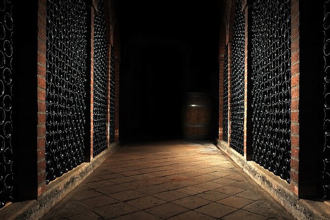 Wine cellar tour with tasting 3 wines of the Loire - Introduction to Château La Viaudière and Its Organic Philosophy