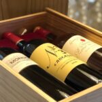 Wine course in Saint-Emilion followed by a tasting - The Interactive and Personal Nature of the Wine Course