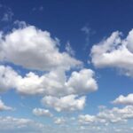 Wine Experience around Cagliari - Visiting the Vineyard and Cellar