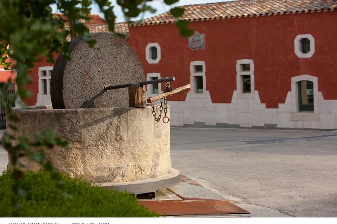 Wine experience in a local winery - Departure from Cagliari - Explore Sardinia’s Local Winery and Vineyard in a Small Group