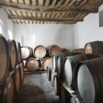 Wine Experience in an Organic Chianti Winery - Exploring Montechiaro’s Historic Cellar and Olive Mill