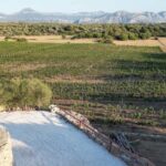 Wine experience in Dorgali in the heart of the Cannonau Classic Zone - Directions to the Winery in Dorgali