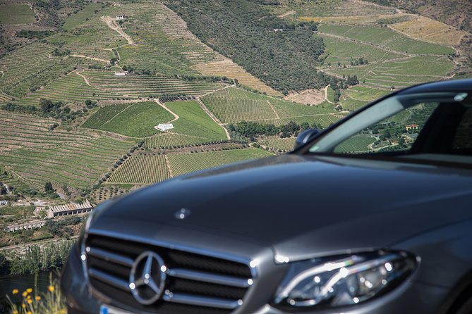 Wine experience with a sommelier - The Saber Opening of a Sparkling Wine or Champagne