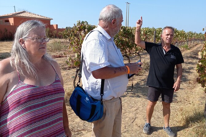 Wine Lovers: Winery Tour w/ Tasting & Tapas (Albufeira/Vilamoura) - Exploring the Local Winery: Behind the Scenes of Portuguese Wine