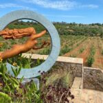 Wine Not Algarve Winery Tour - First Stop: Quinta do Frances Winery and Tasting