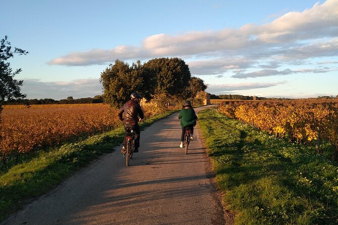 Wine of the Luberon by e-bike... Not to be missed ! - Exploring Provence by E-bike and Smartphone App