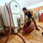 Wine & Oil Tasting Experience - Savor Organic Extra Virgin Olive Oil and Local Charcuterie