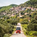 Wine & Sightseeing Tour Korcula - Transportation: Comfortable and Scenic