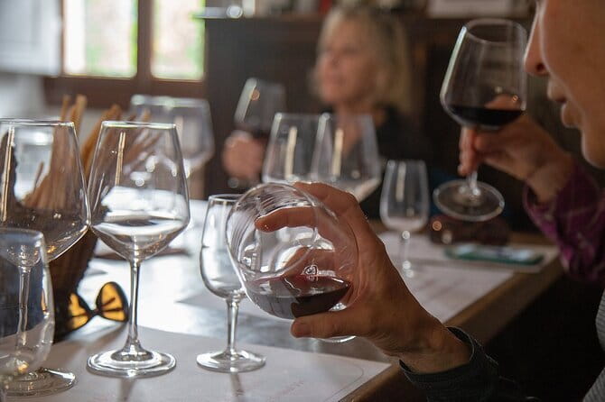 Wine Tasting Activity at Chianti Rufina - Guided Tour of the Garden and Cellar