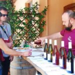 Wine Tasting and Guided Visit to the Vineyard and Cellar in S. Maria Imbaro - Guided Tour of the Vineyard and Cellar Process