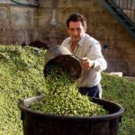 Wine tasting and Olive Oil in Tirana Surroundings - Convenient Logistics and Comfortable Transport