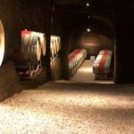 Wine Tasting and Winery tour - Walking Tour of the Vineyards and Cellars