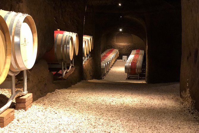 Wine Tasting and Winery tour - Walking Tour of the Vineyards and Cellars