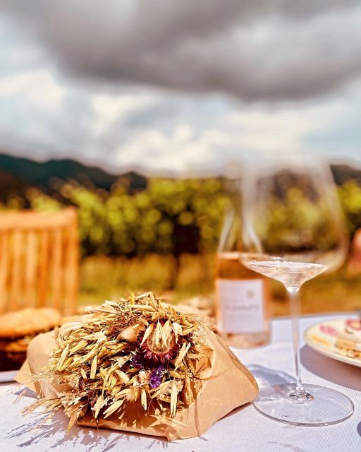 Wine tasting around Ile rousse & Calvi with Transport - Pickup and Transport in Corsica’s Scenic Landscape