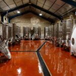 Wine tasting at Château Capion - The Professional Guides and Their Engaging Approach