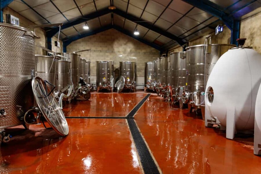 Wine tasting at Château Capion - The Professional Guides and Their Engaging Approach