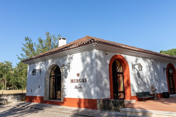 Wine tasting at Quinta das Murgas - Walking Tour Through Quinta das Murgas Vineyards