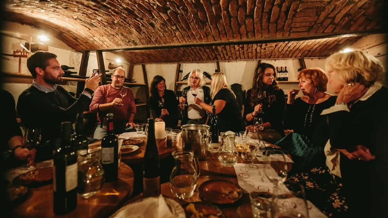 Wine Tasting Bled with a sommelier - The Unique Setting of a 100-Year-Old Cellar in Bled