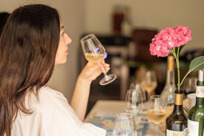 Wine Tasting Class: Tour de France in Nice City Centre - Exploring French Wine Regions with Expert Hosts