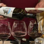 Wine Tasting Experience at Alpeta Winery - Guided Vineyard Walk and Albanian Grape Varieties
