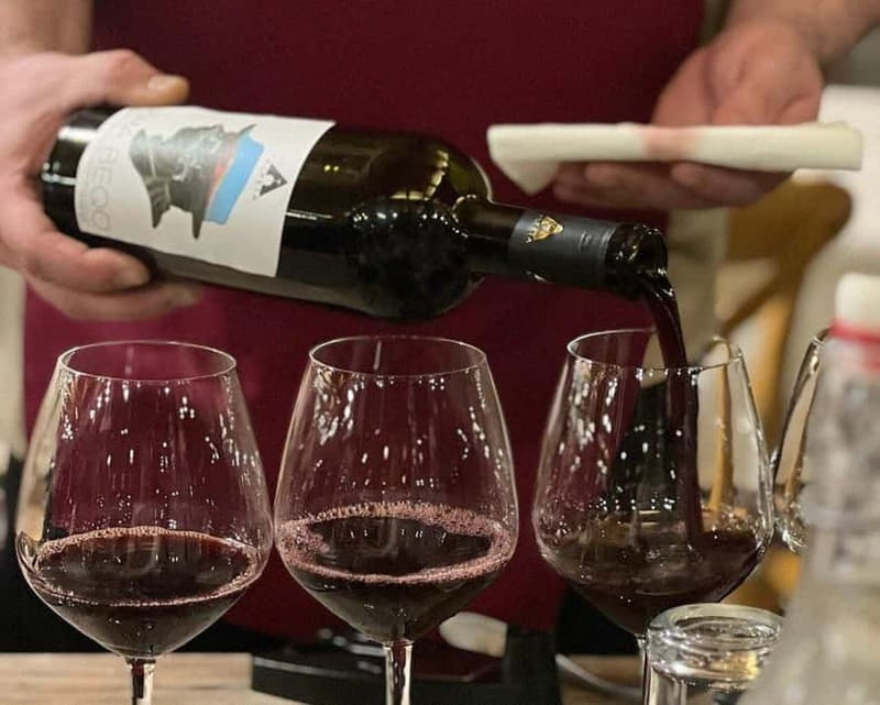 Wine Tasting Experience at Alpeta Winery - Guided Vineyard Walk and Albanian Grape Varieties