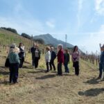 Wine Tasting in Campi Flegrei from Naples - Scenic Views and Volcanic Landscape